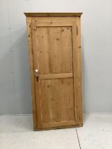 A Victorian pine single door cupboard, width 91cm, depth 46cm, height 191cm