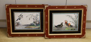 19th century Chinese school, pair of pith paper paintings, Birds beside water, each 16.5 x 25cm,