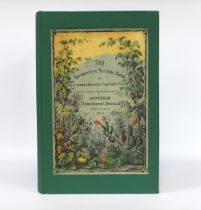 ° ° [Yonge, Charlotte Mary] - The Instructive Picture Book, or Lessons from the Vegetable World,