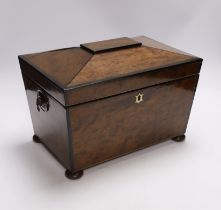 A late Regency plum-pudding mahogany tea caddy, missing glass mixing bowl, 23cm high CITES