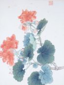 Chinese School, watercolour, Pelargoniums, 26 x 19cm