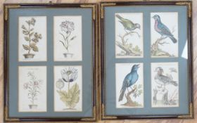 Four 18th century colour engravings, mounted and framed as a pair, Birds and flowers including The