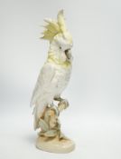 A Royal Dux porcelain model of a cockatoo, 41cm