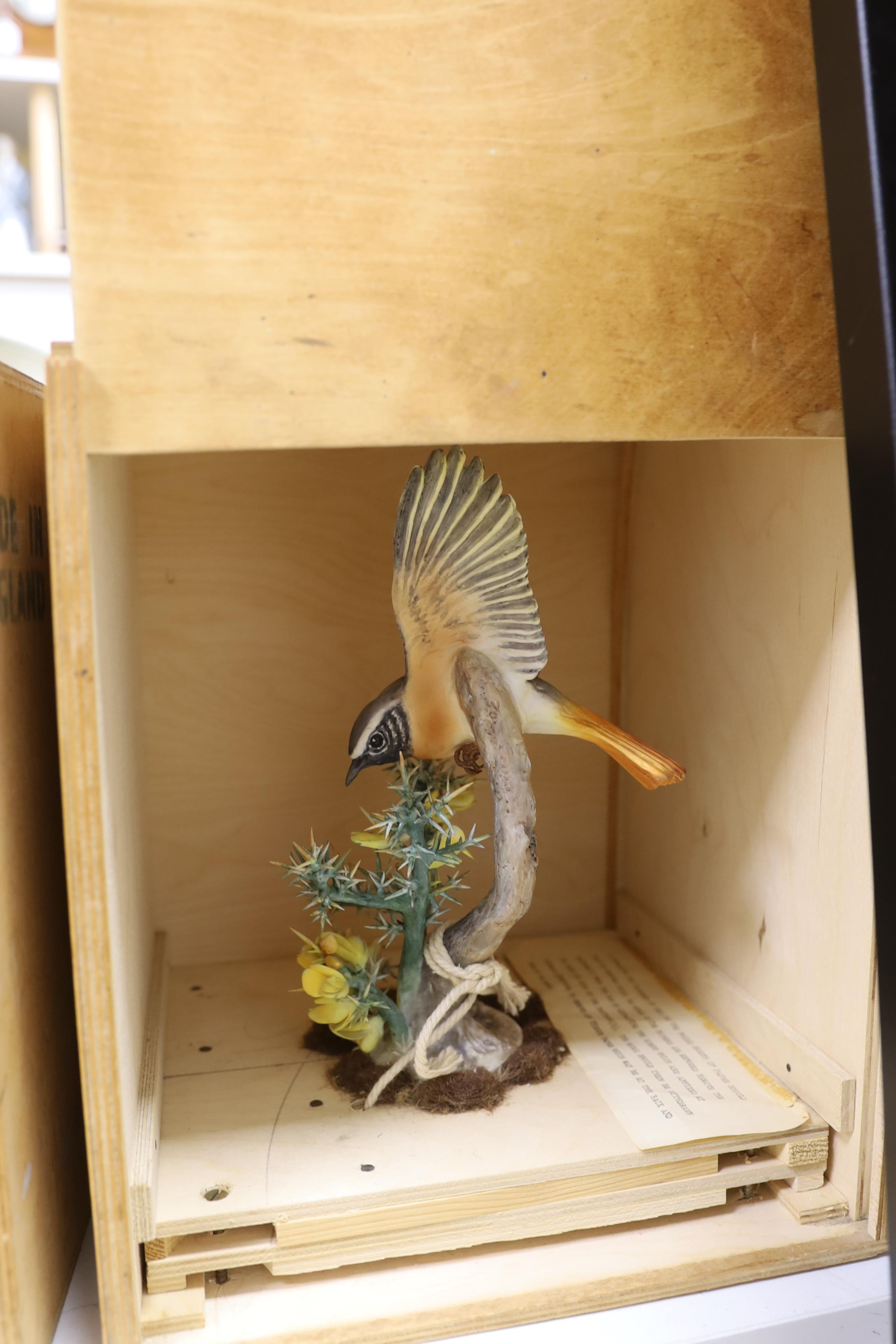 A Royal Worcester Redstart Hen and Cock and a Royal Worcester ‘Hibiscus’ with boxes and framed - Image 3 of 3