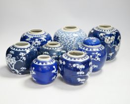 A Chinese blue and white 'shuangxi' jar, and seven blue and white 'prunus' jars and one cover,