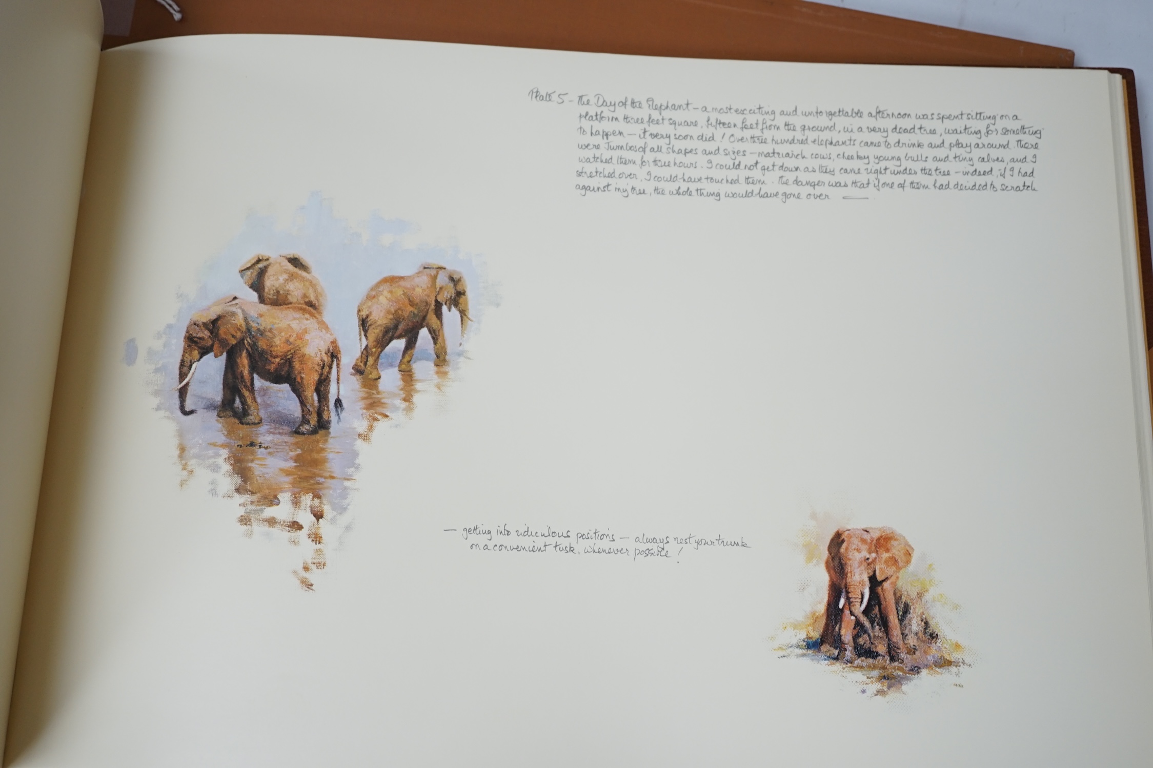 A folio of D. Shepherd signed prints of paintings of Africa and India - Image 3 of 4