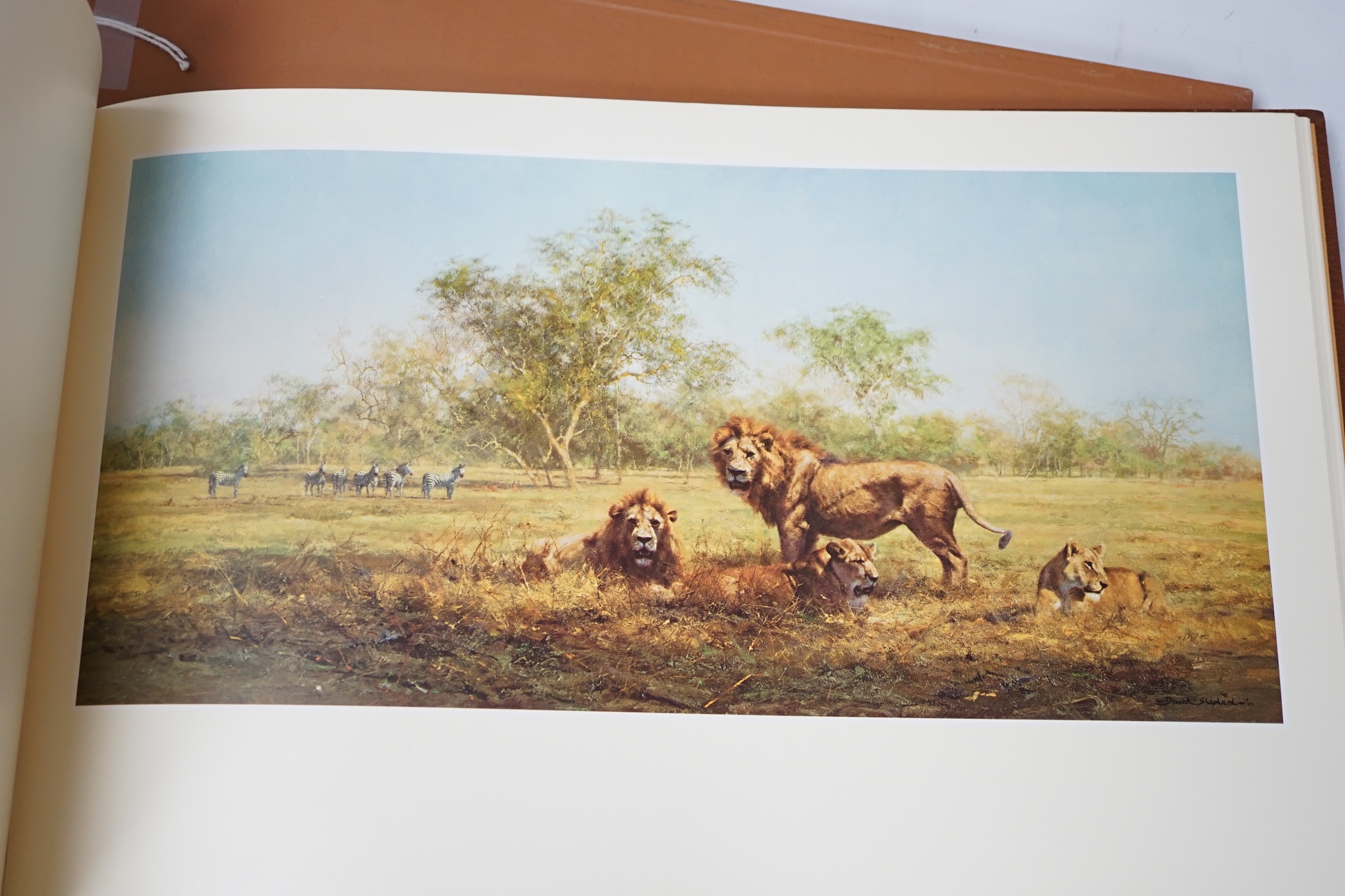 A folio of D. Shepherd signed prints of paintings of Africa and India - Image 4 of 4