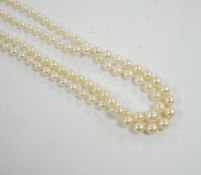 A 1930's twin strand graduated cultured pearl necklace, with 14ct, plat and diamond chip set