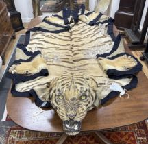 A large early 20th century felt backed tiger skin rug with head, by Van Ingen and Van Ingen, (