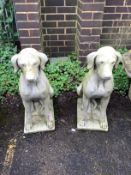 A pair of cast stone seated hound garden ornaments, height 71cm