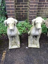 A pair of cast stone seated hound garden ornaments, height 71cm