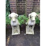 A pair of cast stone seated hound garden ornaments, height 71cm