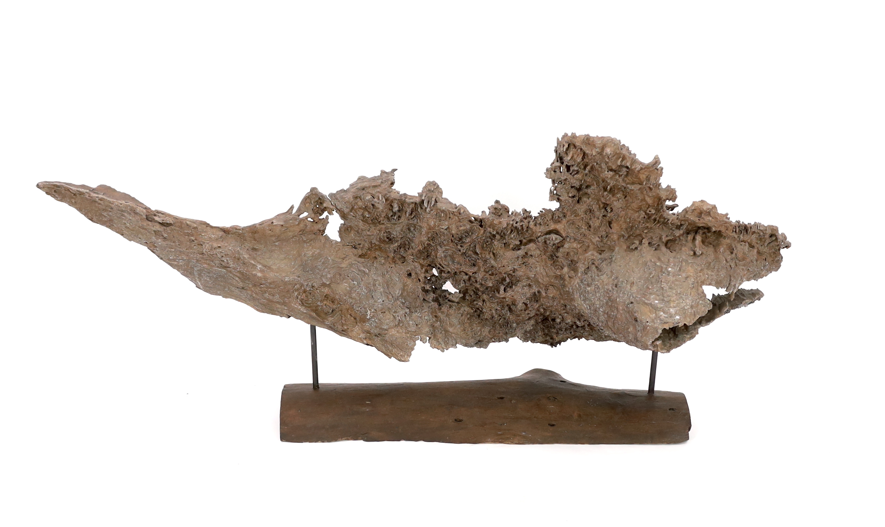 ** ** A large section of Andaman Padauk burr wood of sculptural form, mounted on a stand, 148cm - Image 4 of 4