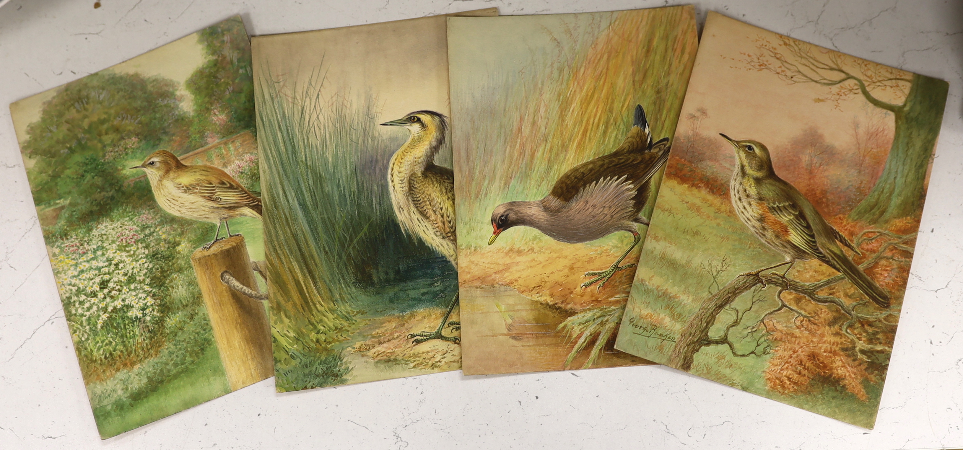 George Rankin (1864-1937), four original watercolours on card for postcard designs, ‘Bittern’, ‘