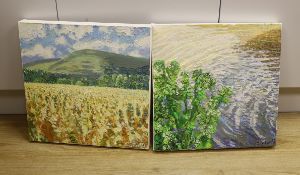 Guy Funnell (contemporary) pair of impasto oils on canvas, Landscapes, each signed, 40 x 40cm,