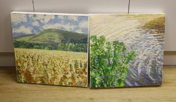 Guy Funnell (contemporary) pair of impasto oils on canvas, Landscapes, each signed, 40 x 40cm,