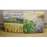 Guy Funnell (contemporary) pair of impasto oils on canvas, Landscapes, each signed, 40 x 40cm,