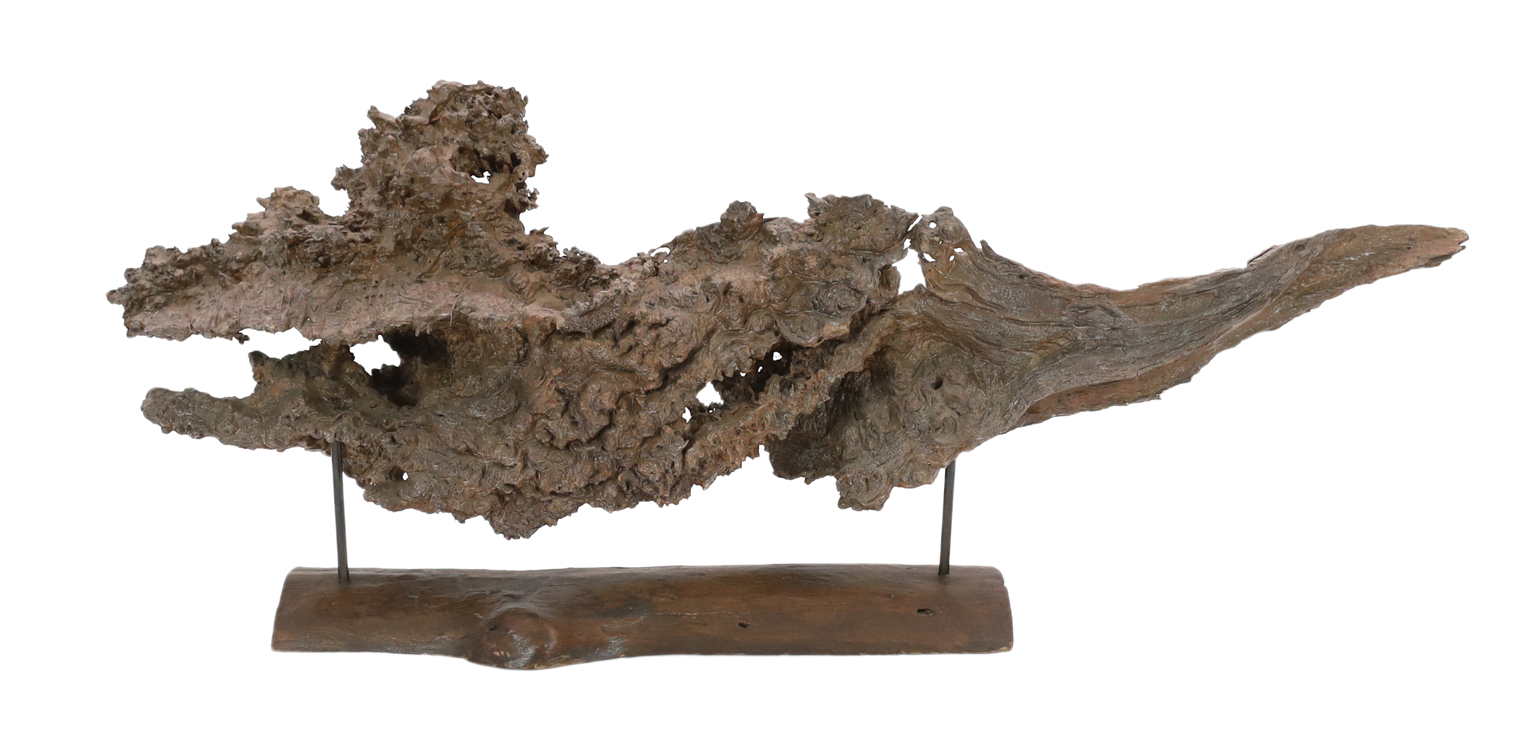 ** ** A large section of Andaman Padauk burr wood of sculptural form, mounted on a stand, 148cm