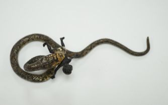 A Viennese cold painted bronze snake devouring a man, 14cm long