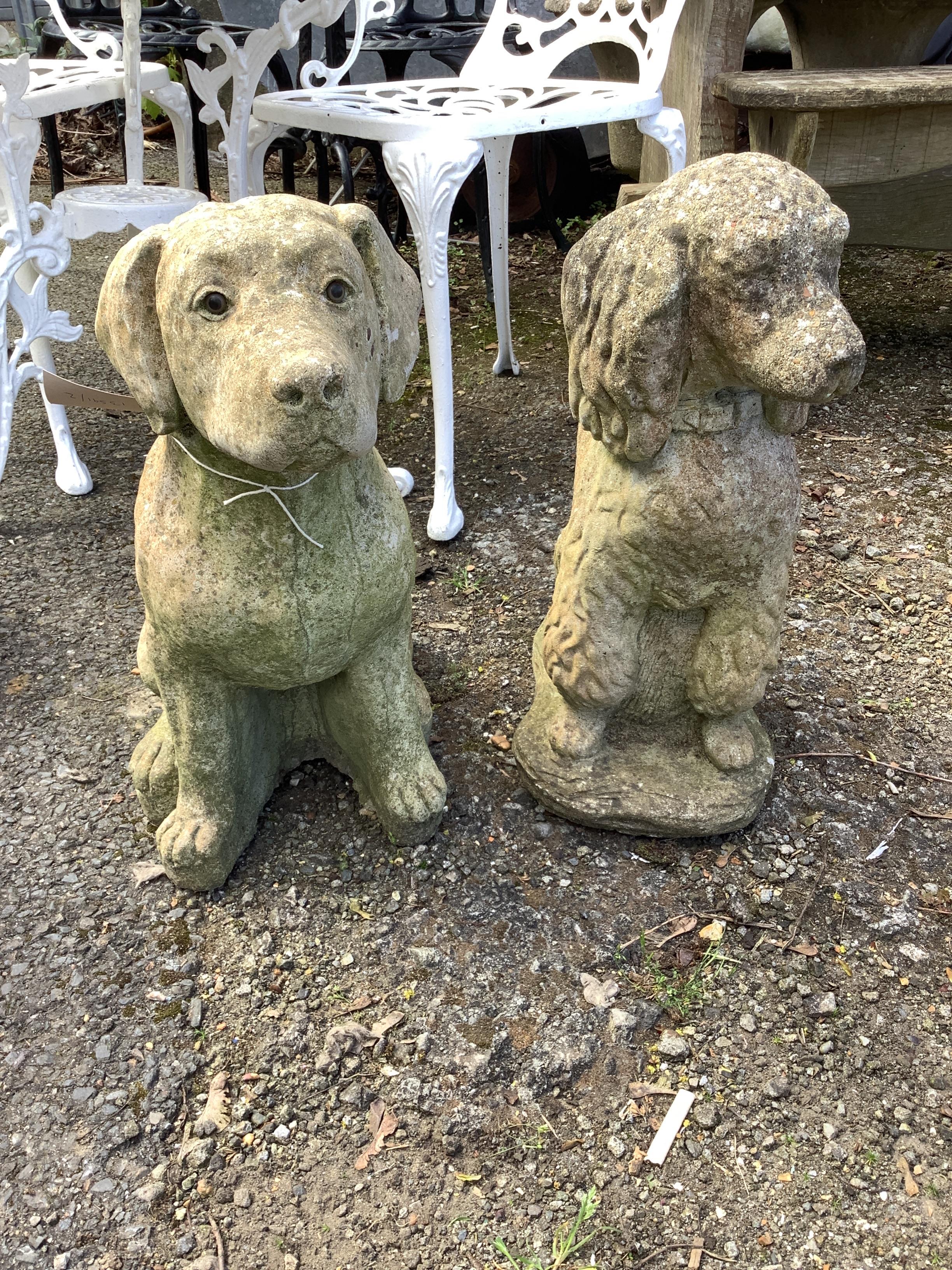 Two reconstituted stone seated dog garden ornaments, larger height 50cm
