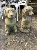 Two reconstituted stone seated dog garden ornaments, larger height 50cm