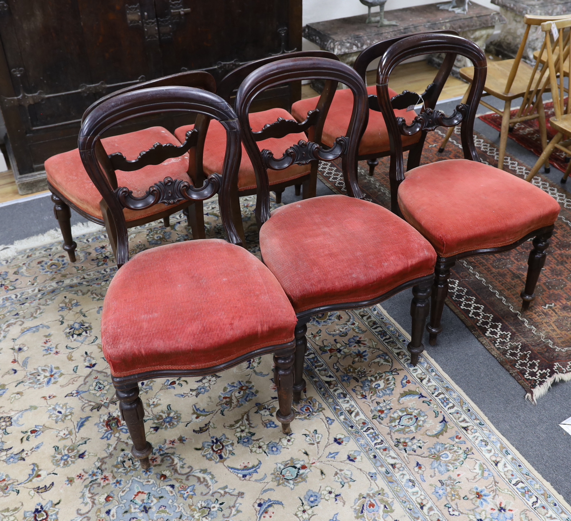 A set of six Victorian balloon back dining chairs and a pair of similar chairs - Image 4 of 4