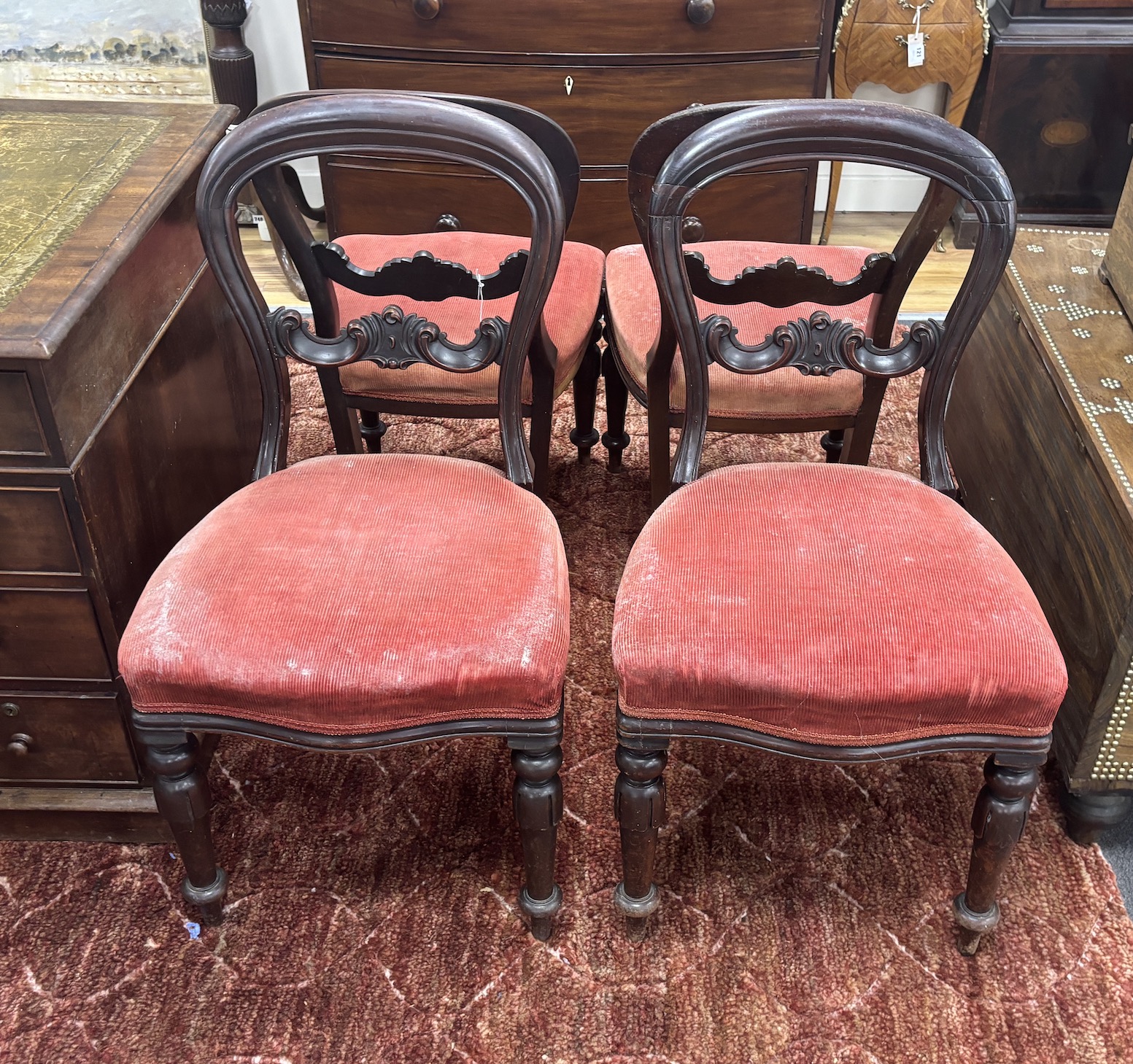 A set of six Victorian balloon back dining chairs and a pair of similar chairs