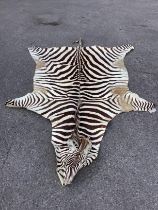 A zebra skin rug, 240 x 162cm