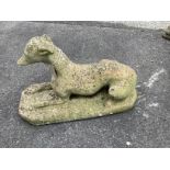 A reconstituted stone figure of a greyhound, length 65cm