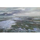 Errol Stephen Boyley (1918-2007), oil on board, 'Wetland landscape', signed, 49 x 75cm