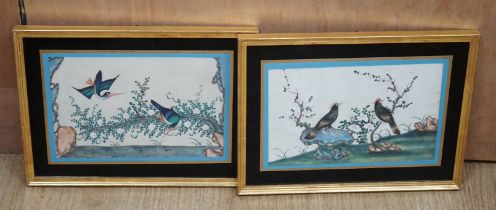 19th century Chinese School, pair of pith paper paintings, Birds of Paradise amongst flowers, 16 x