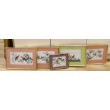 19th century, Chinese School, set of four pith paper paintings, Birds of Paradise, together with a