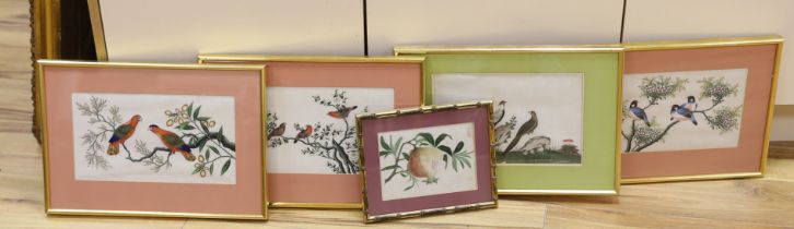 19th century, Chinese School, set of four pith paper paintings, Birds of Paradise, together with a
