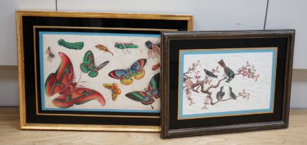 19th century Chinese School, two pith paper paintings, Birds amongst flowers and butterflies,