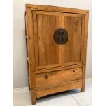 A Chinese elm cabinet, width 115cm, depth 55cm, height 169cm