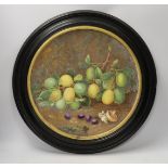 A framed Royal Worcester charger, outside painted by Octar H. Copson, dated 1880, 54cm total