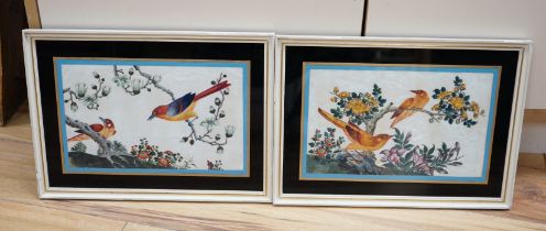 19th century Chinese school, pair of pith paper paintings, Birds of paradise amongst flowers, 17 x