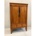 A Chinese elm cabinet, width 108cm, depth 60cm, height 177cm