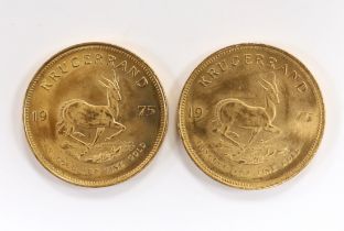 Gold coins, South Africa, two gold 1oz. Krugerrands, 1975, near UNC (2oz.)