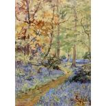Dora Meeson (Australian, 1869-1955), watercolour, Woodland with bluebells, signed and dated 1928, 40