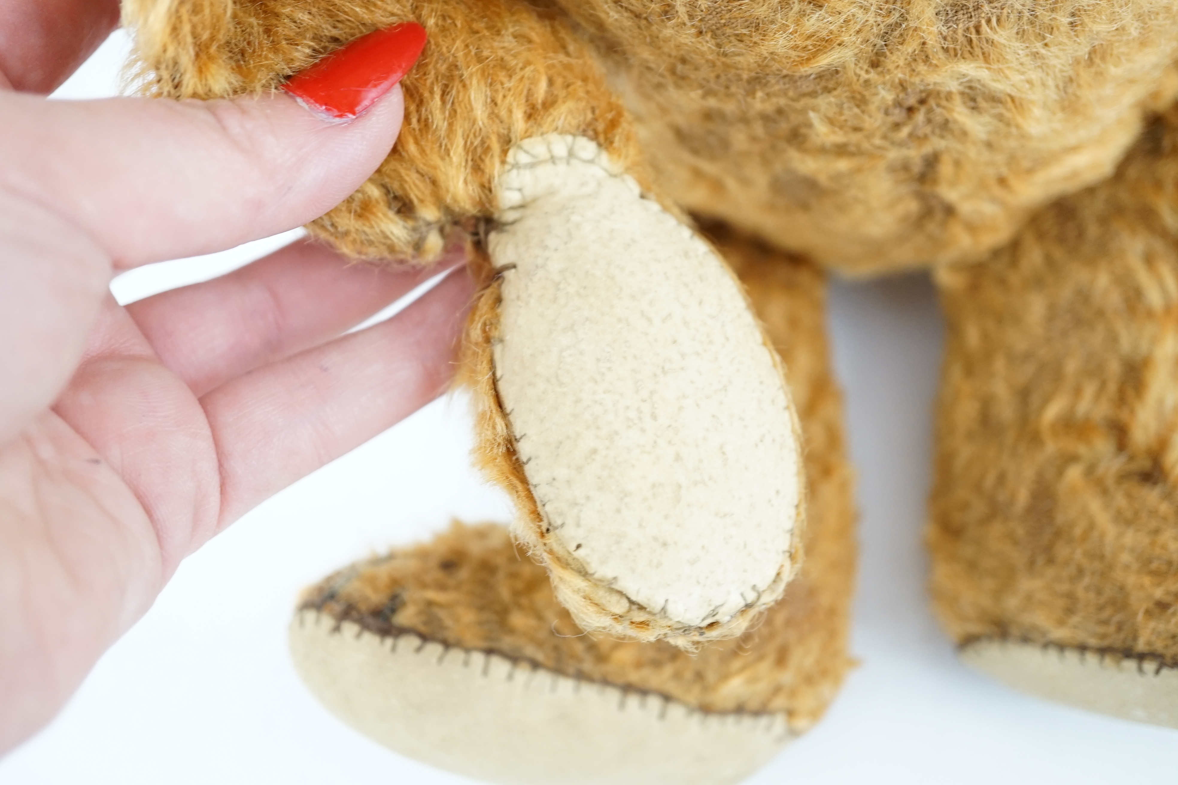 A cinnamon Steiff bear c.1908, with button paw pads, stuffing missing in arms, hair loss to head, - Bild 3 aus 14