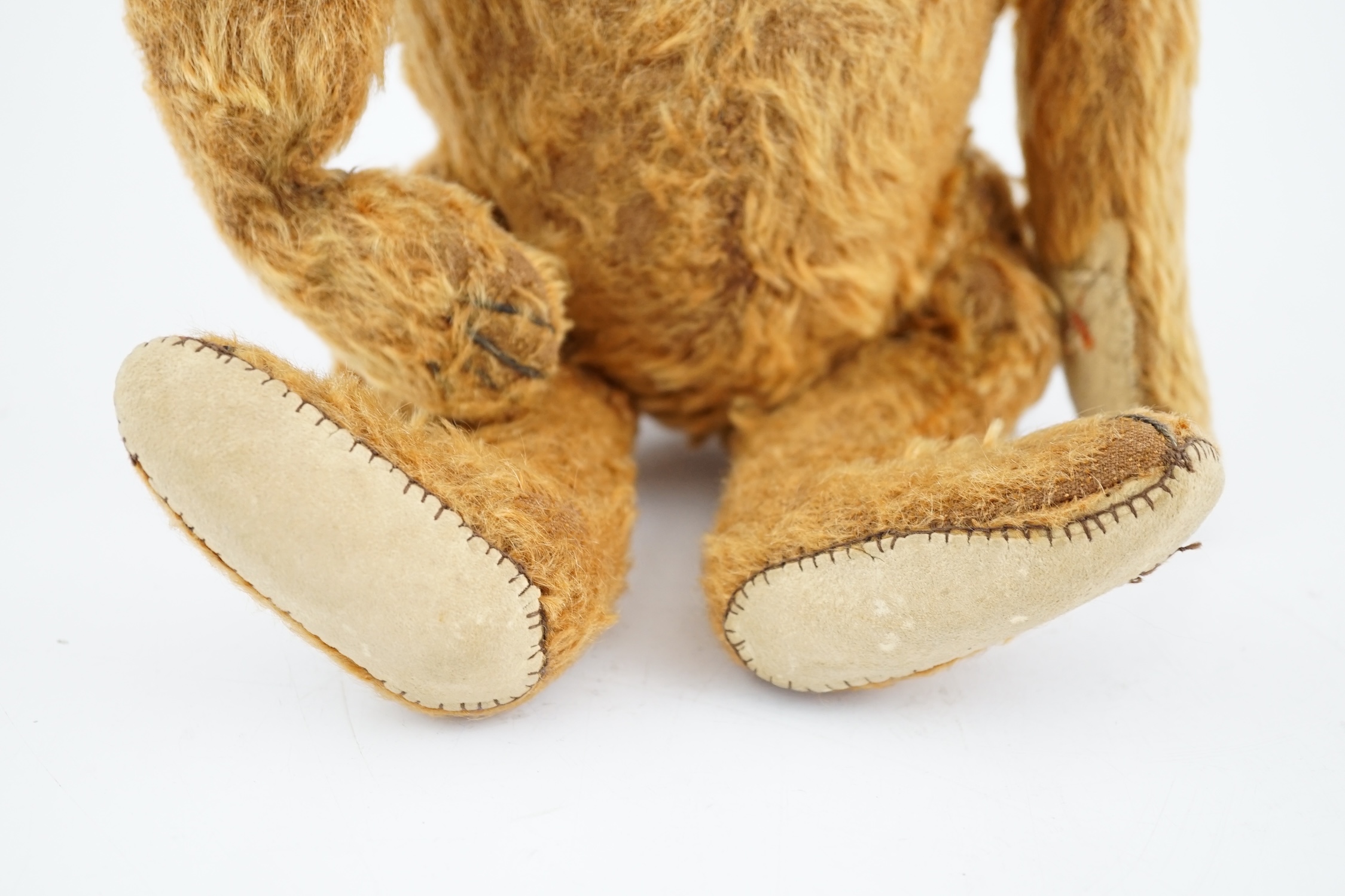 A cinnamon Steiff bear c.1908, with button paw pads, stuffing missing in arms, hair loss to head, - Image 11 of 14