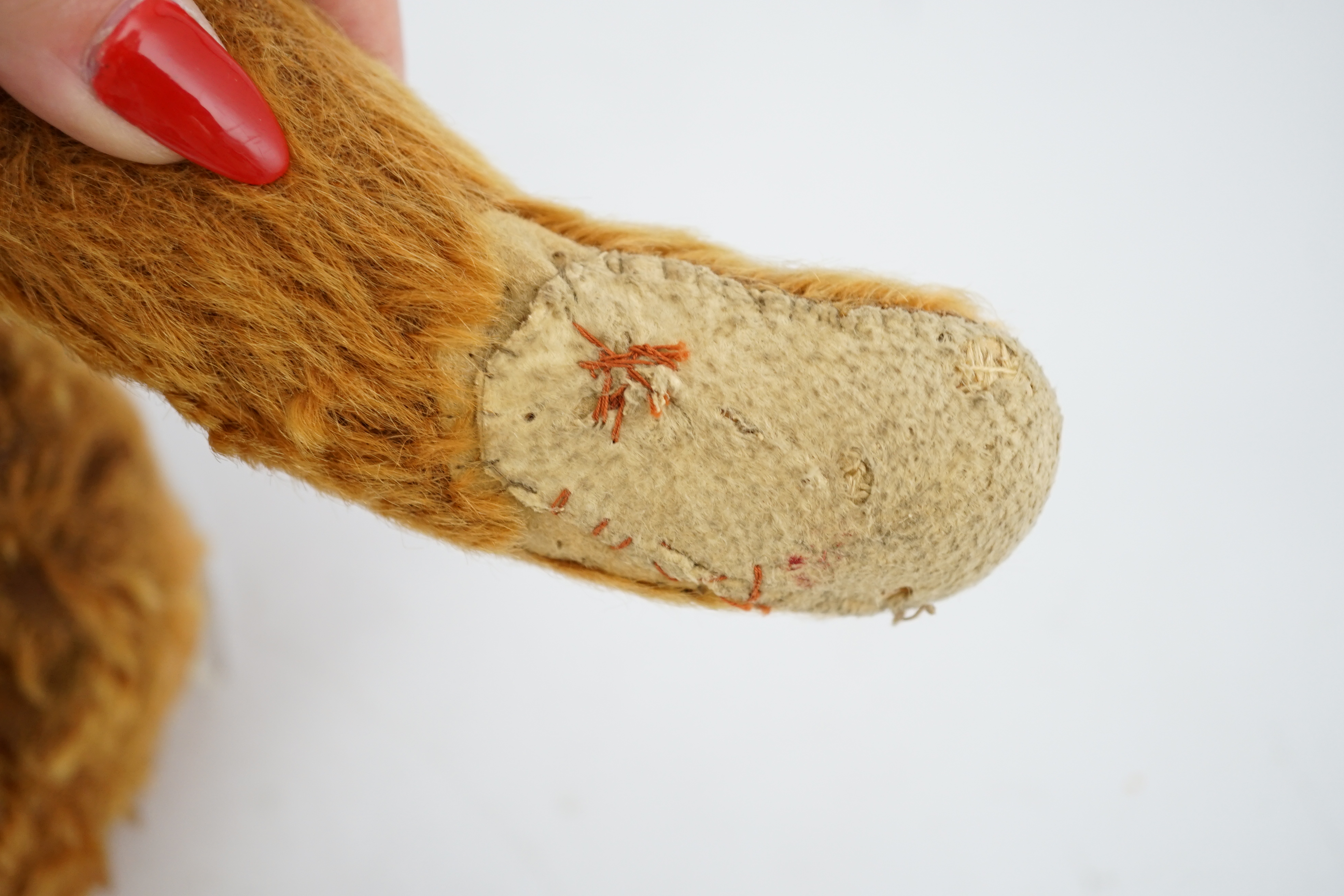 A cinnamon Steiff bear c.1908, with button paw pads, stuffing missing in arms, hair loss to head, - Image 5 of 14