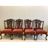 A set of eight Victorian mahogany Chippendale style dining chairs having carved and pierced