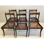 A set of six Regency rosewood and simulated rosewood dining chairs, the top rails inlaid with cut