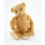 A cinnamon Steiff bear c.1908, with button paw pads, stuffing missing in arms, hair loss to head,