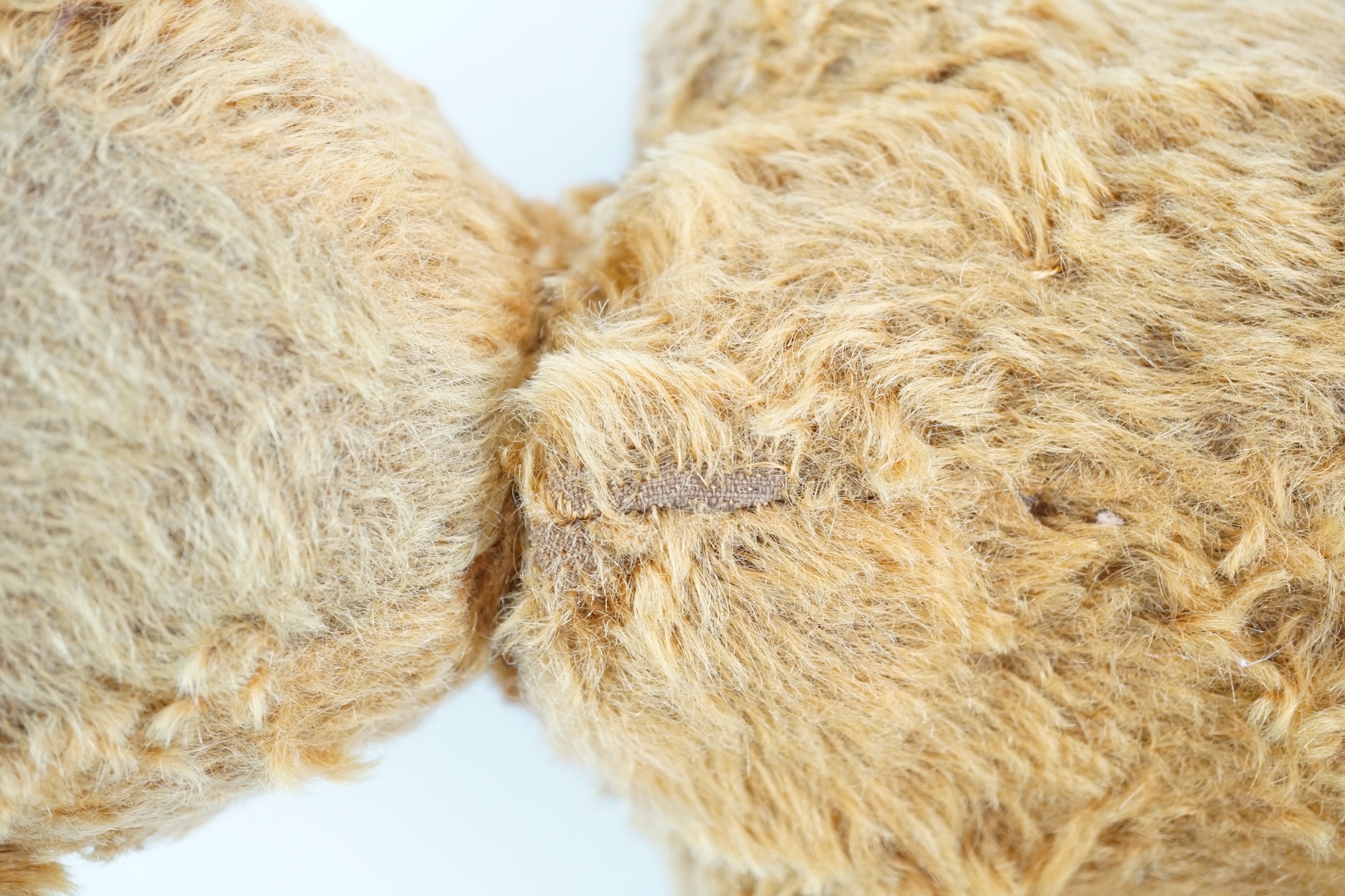 A cinnamon Steiff bear c.1908, with button paw pads, stuffing missing in arms, hair loss to head, - Bild 14 aus 14