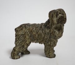A cold painted bronze model of a dog, 11cm wide