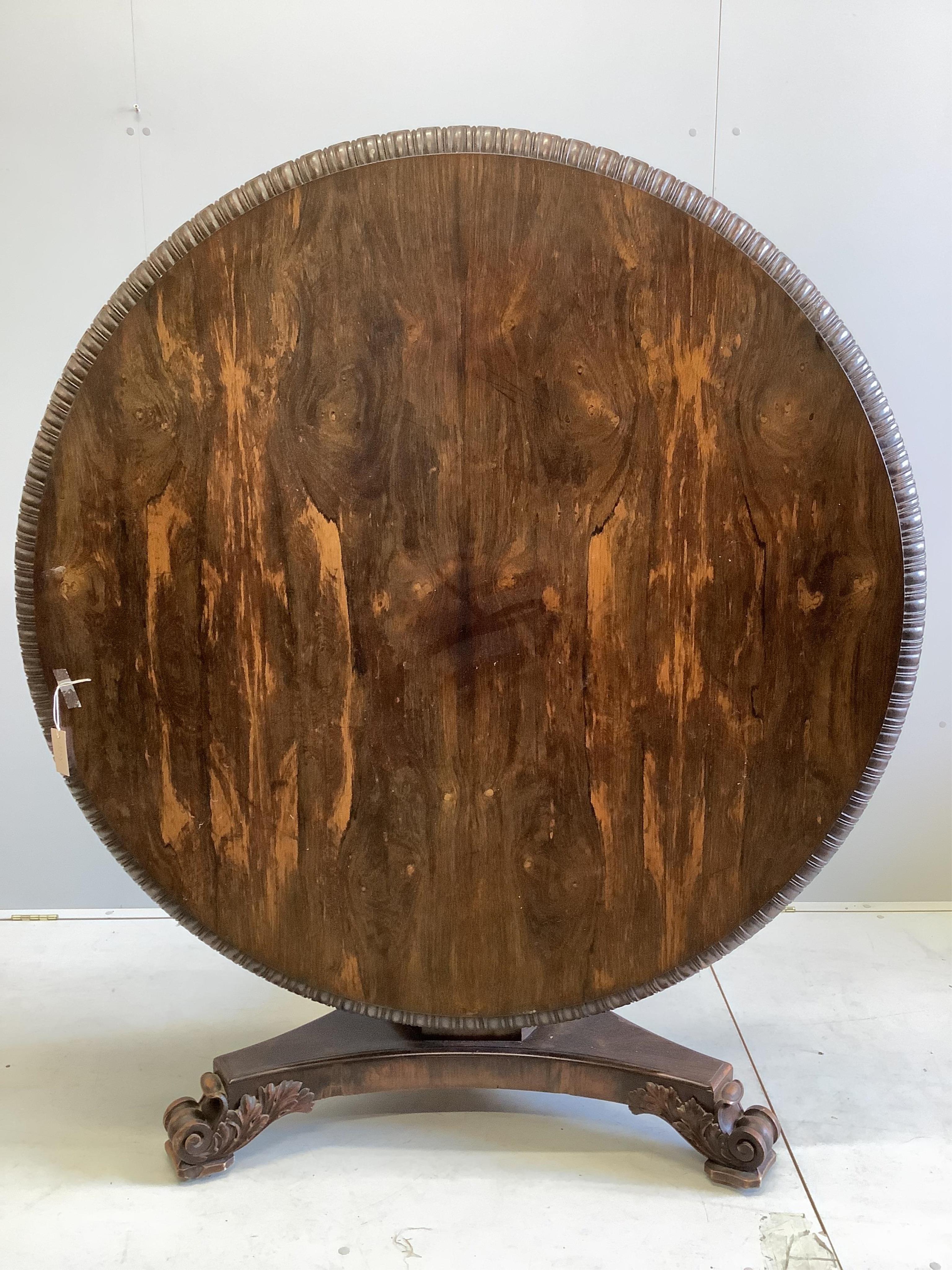 A William IV circular rosewood centre table, the tilt top with lappet carved edge on single