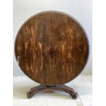 A William IV circular rosewood centre table, the tilt top with lappet carved edge on single